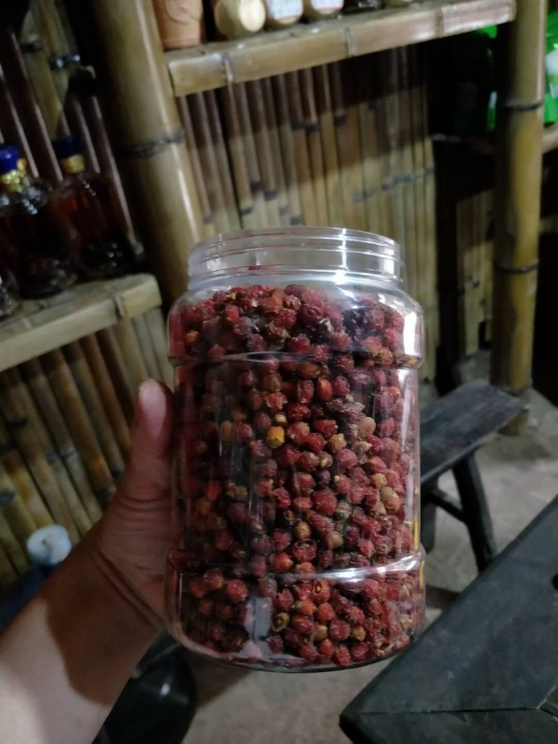 大瑶山野生红豆杉干果