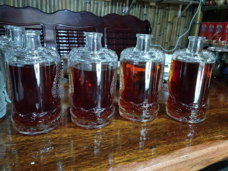 大瑶山野生红豆杉干果