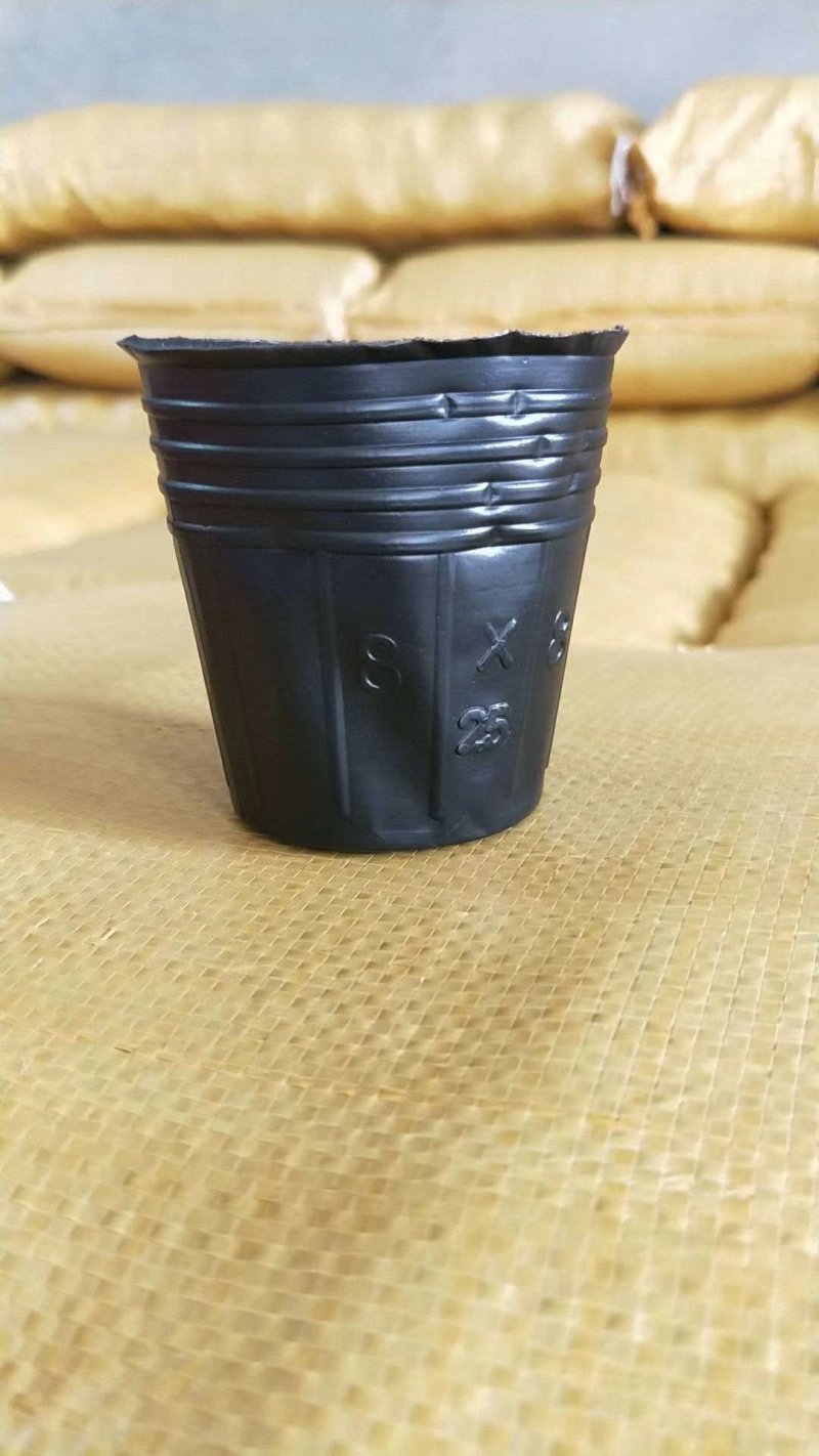 无纺布育苗袋育苗杯基质杯营养杯营养袋免拆袋移栽