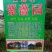 金弹子母树，金弹子嫁接苗叮当子瓶兰花