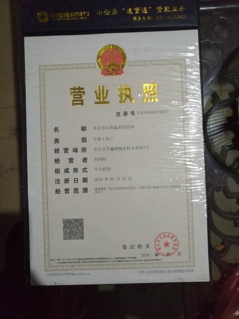 正宗章丘鲍芹.基地直销