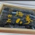淡干海参
