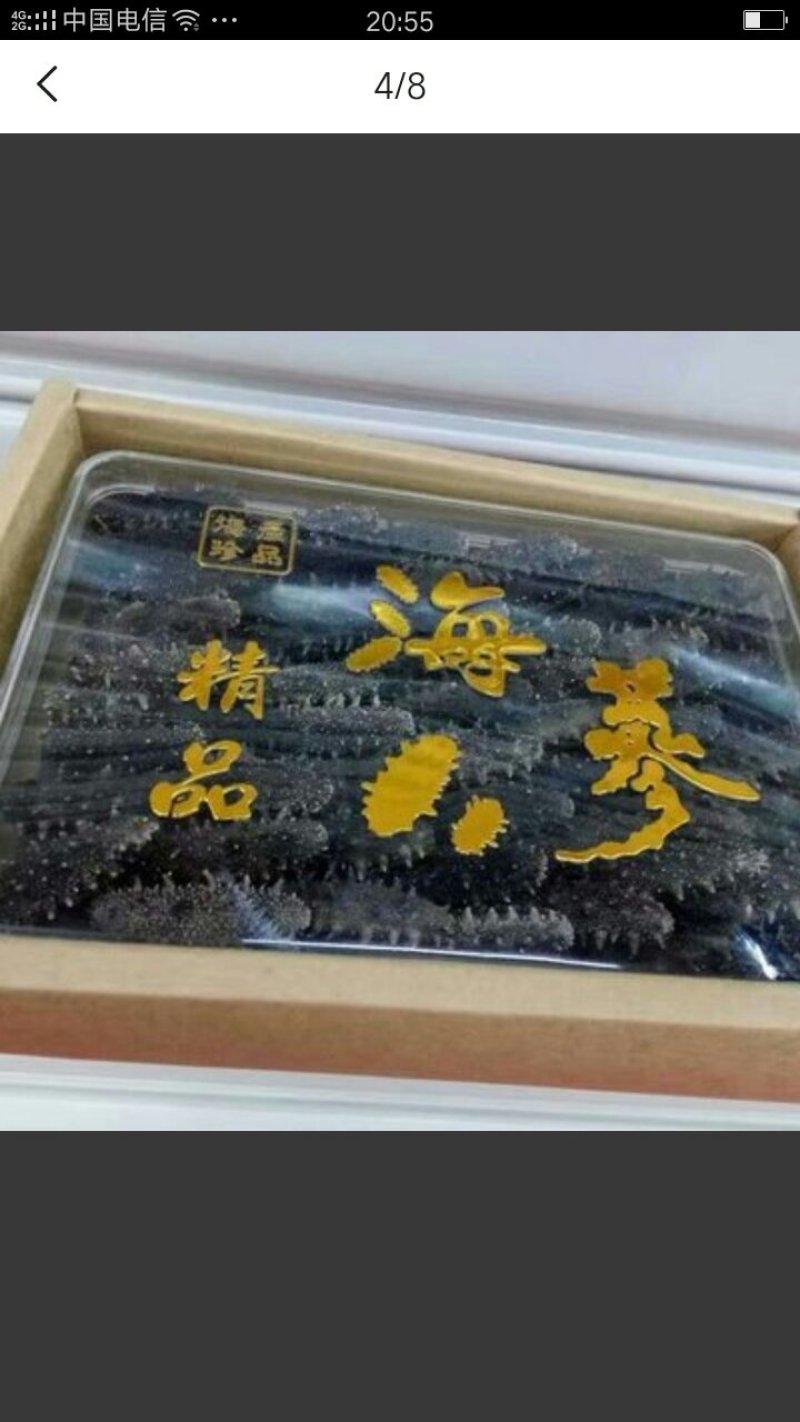 淡干海参