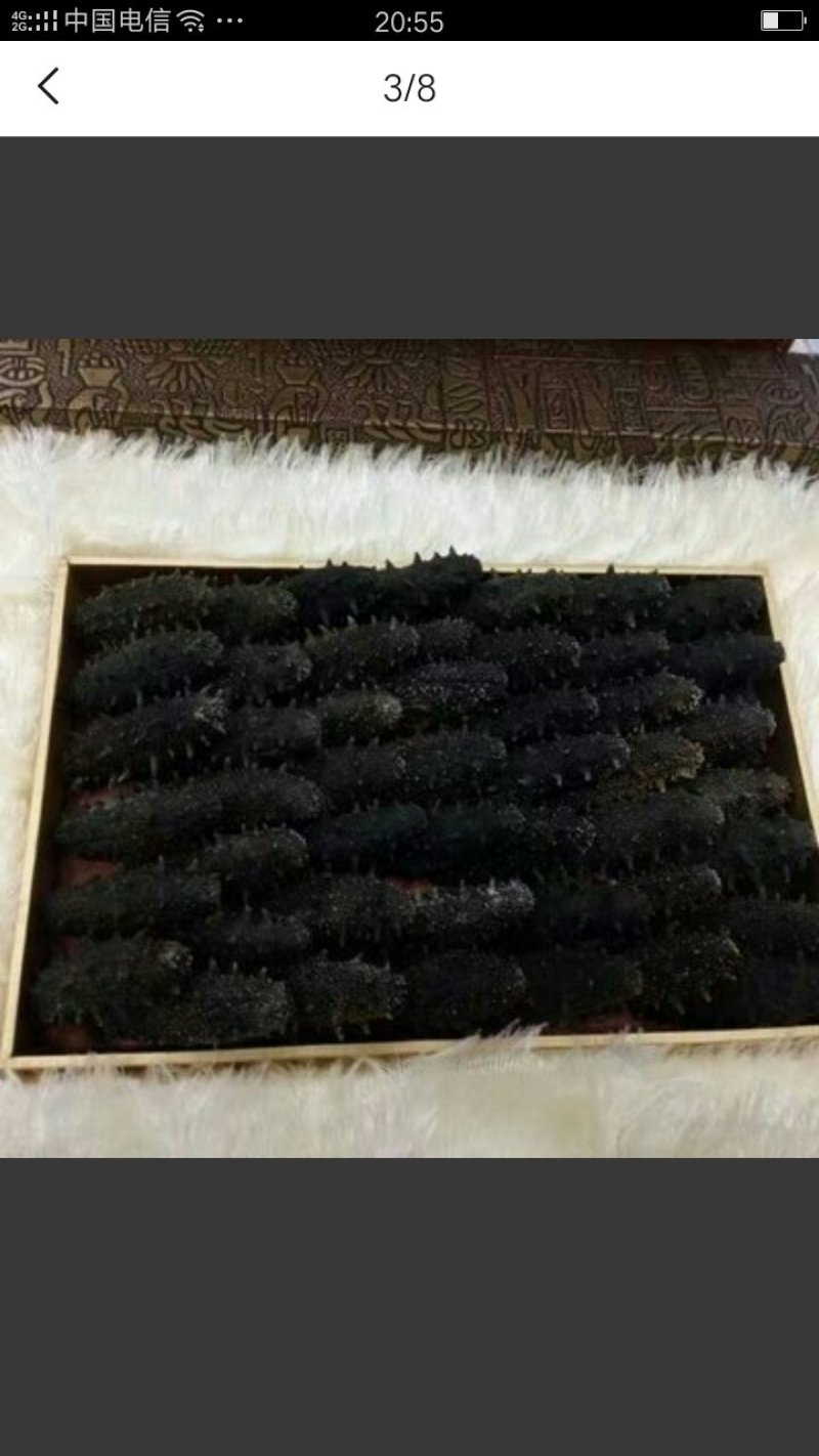 淡干海参