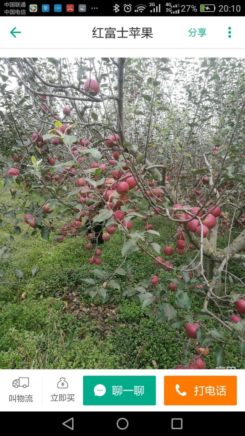 需要苹果的联系我