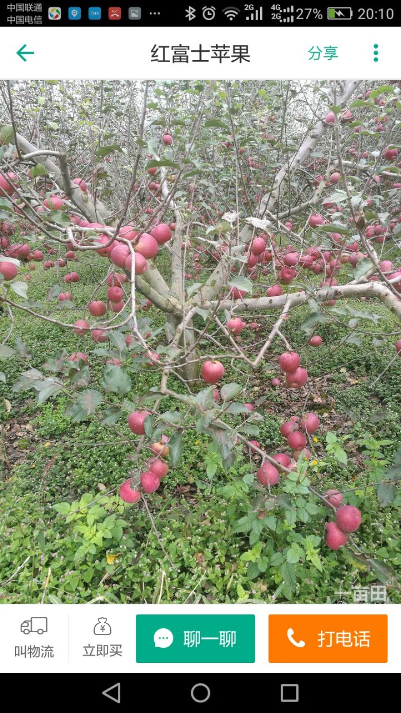 需要苹果的联系我