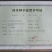 进口郁金香花色多包发芽种球大
