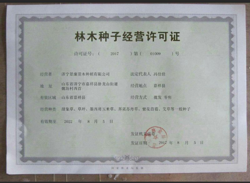 进口郁金香花色多包发芽种球大