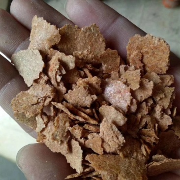 胚芽饼