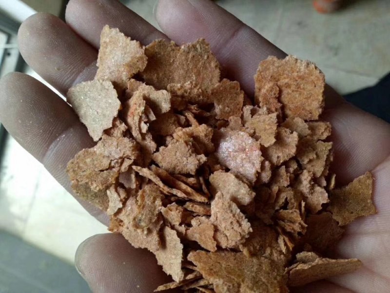 胚芽饼