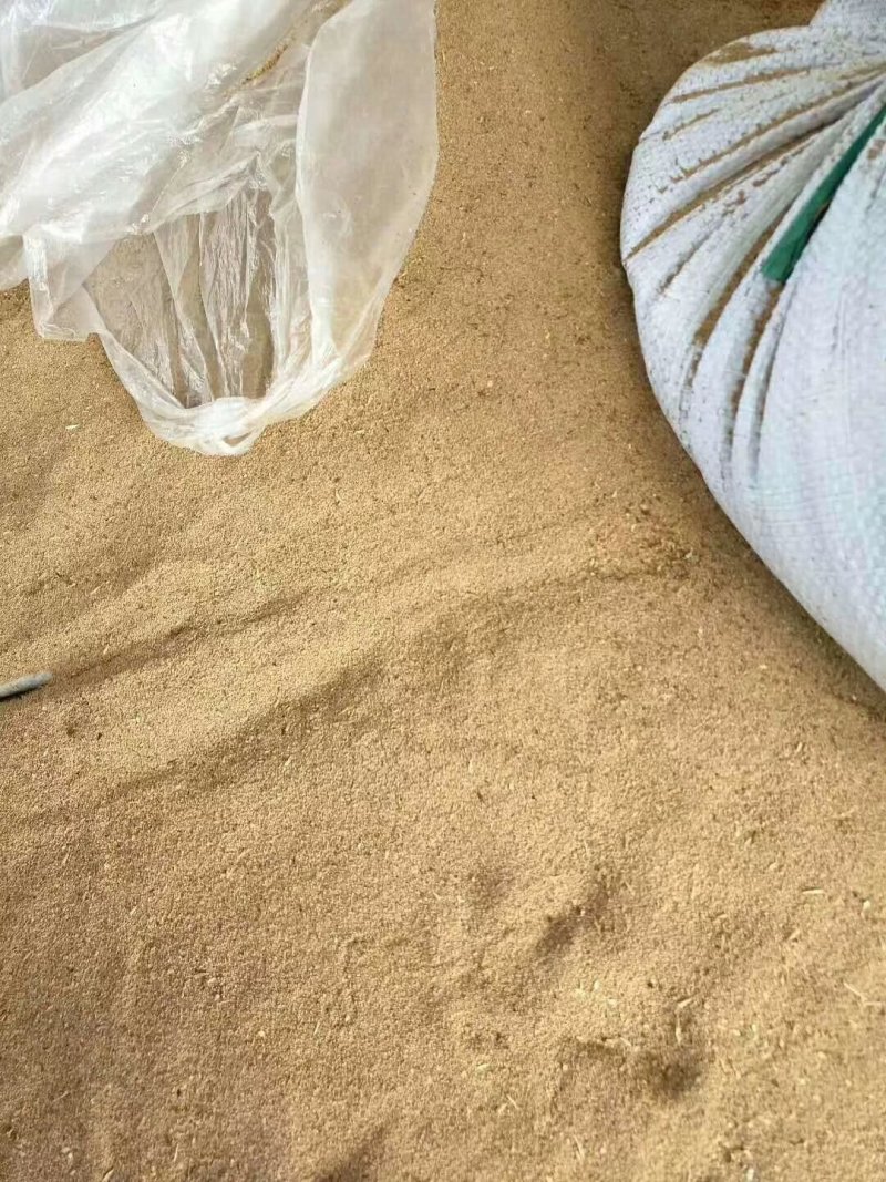 虫粪