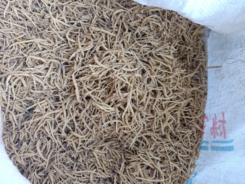 太子参