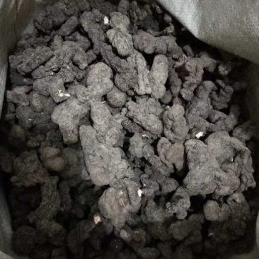 汉中留坝干猪苓高品质！鲜猪苓9/斤