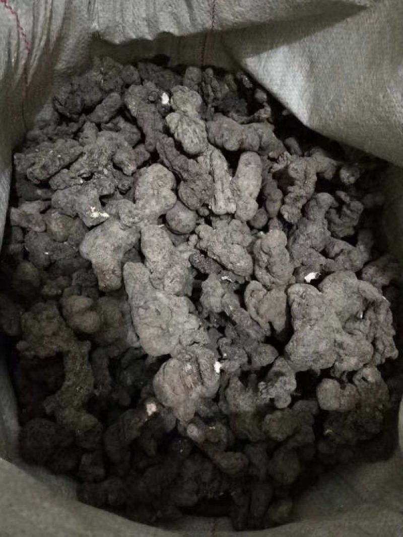 汉中留坝干猪苓高品质！鲜猪苓9/斤