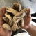 大量天麻干货