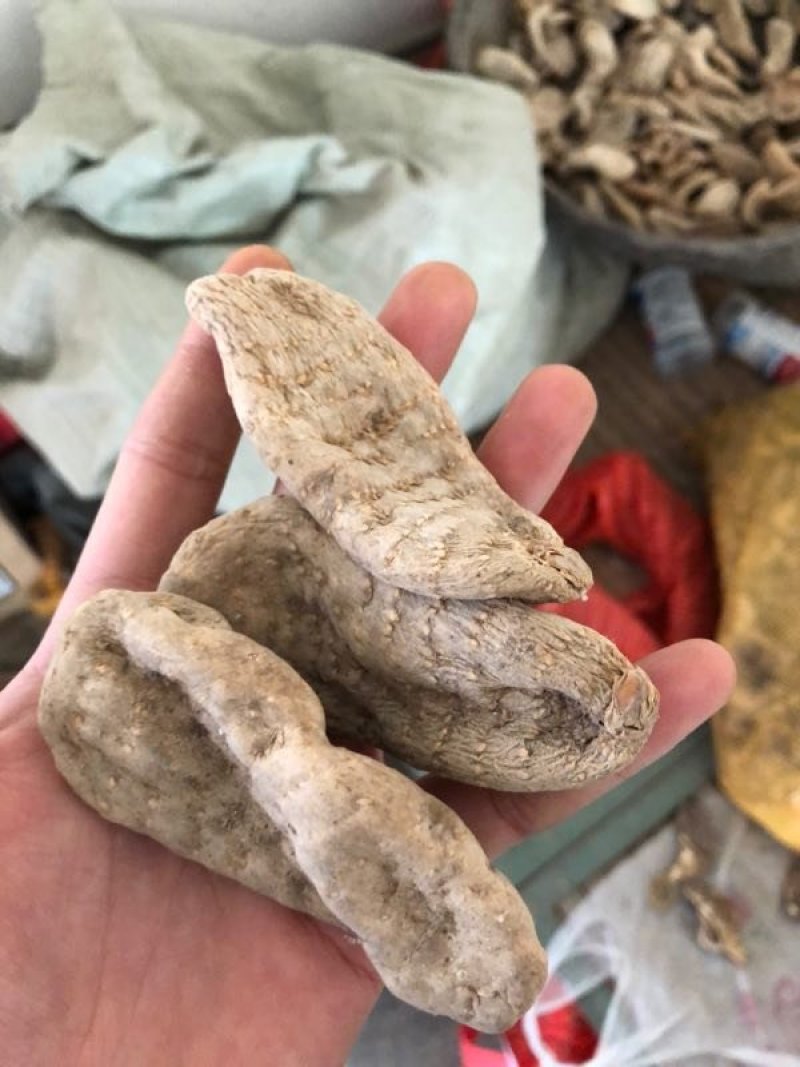大量天麻干货
