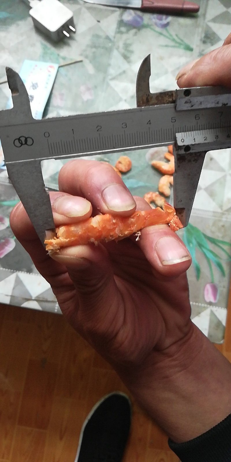 海米，皮皮虾，