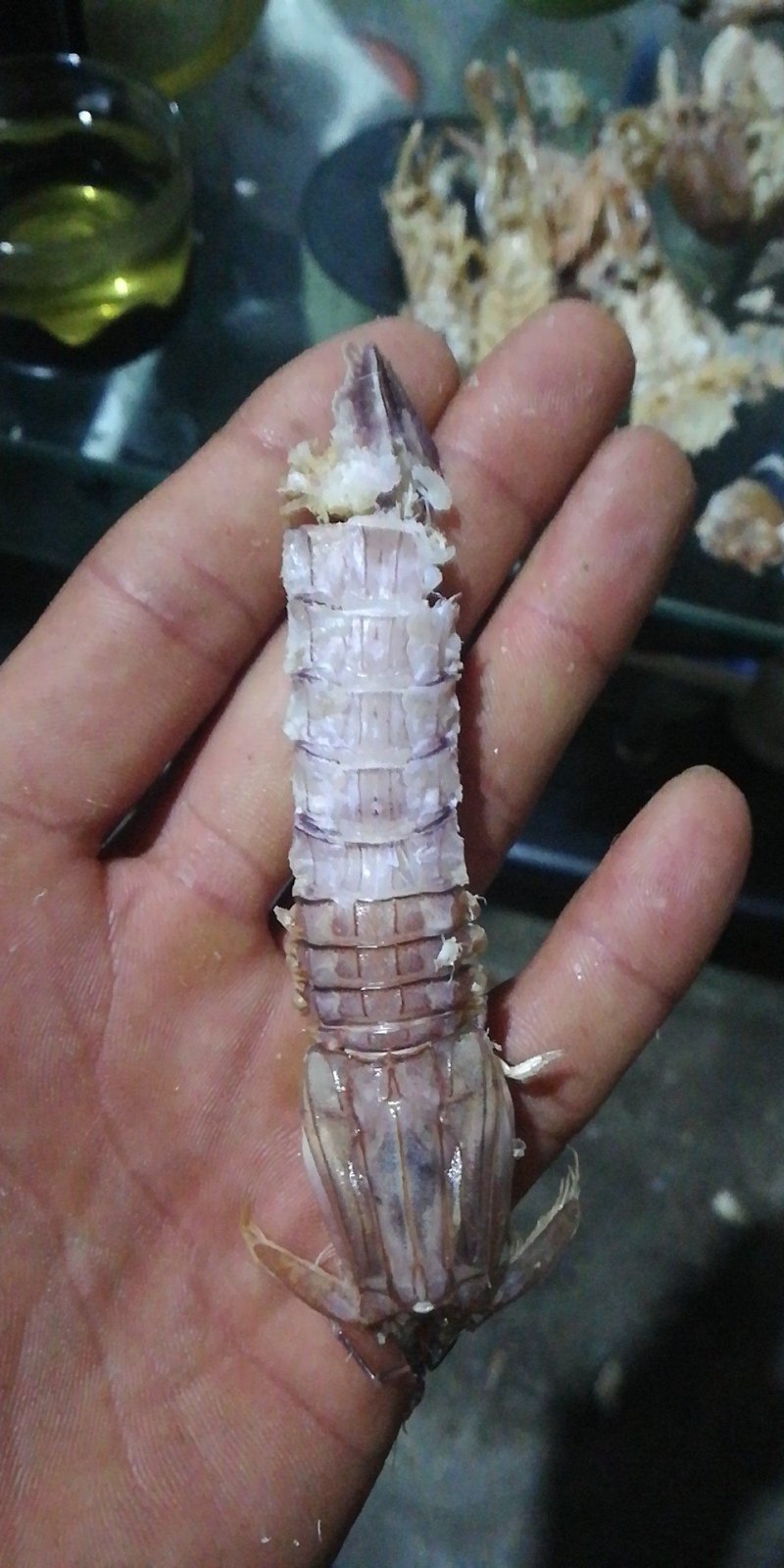 海米，皮皮虾，