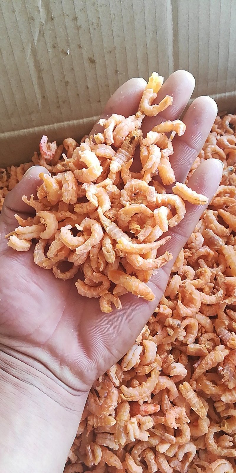 海米，皮皮虾，