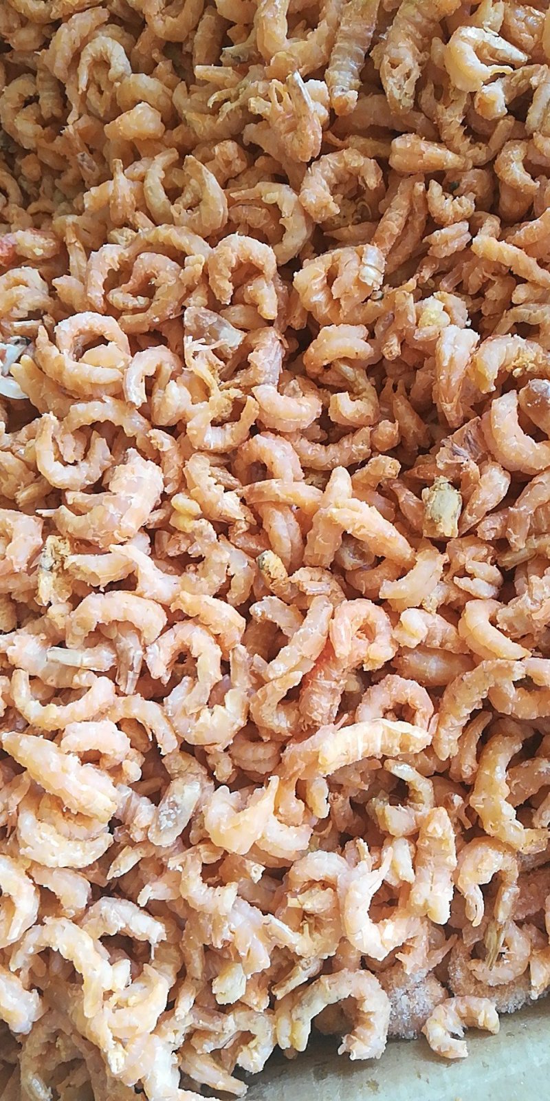 海米，皮皮虾，