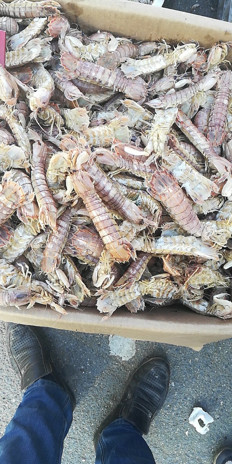 海米，皮皮虾，