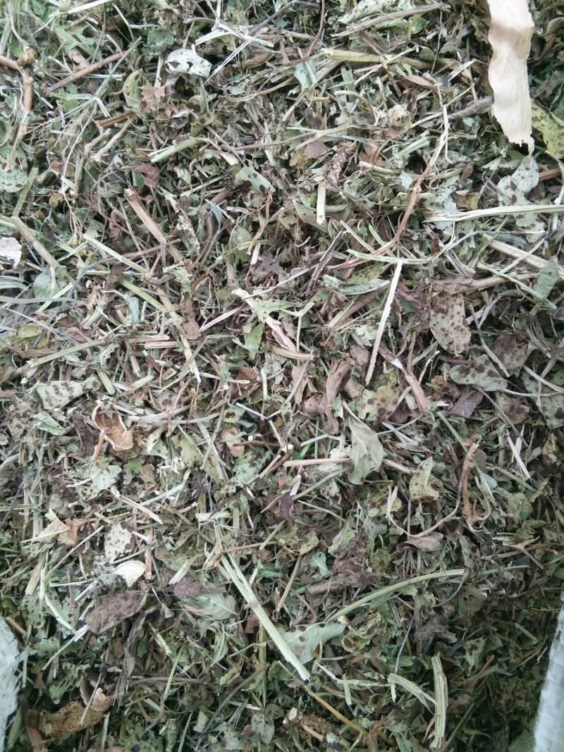 花生秧