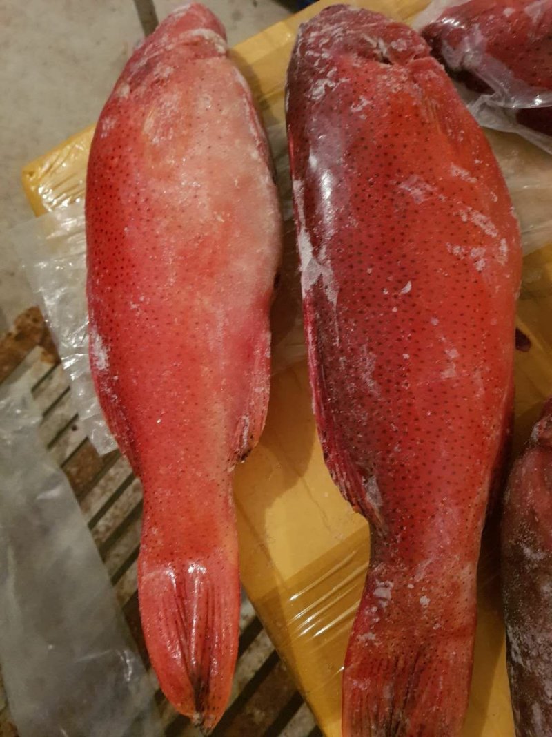 草虾，东星斑