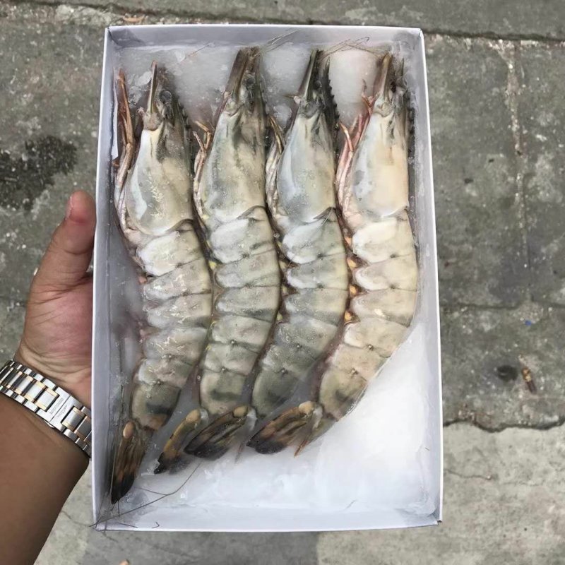 草虾，东星斑