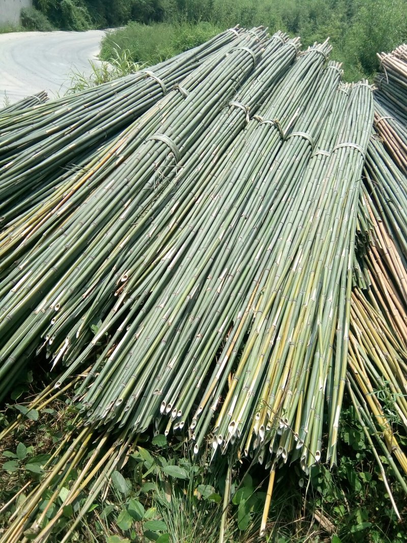 菜架竹子(欢迎来电），扶树竹竿，大棚竹竿，产地直销