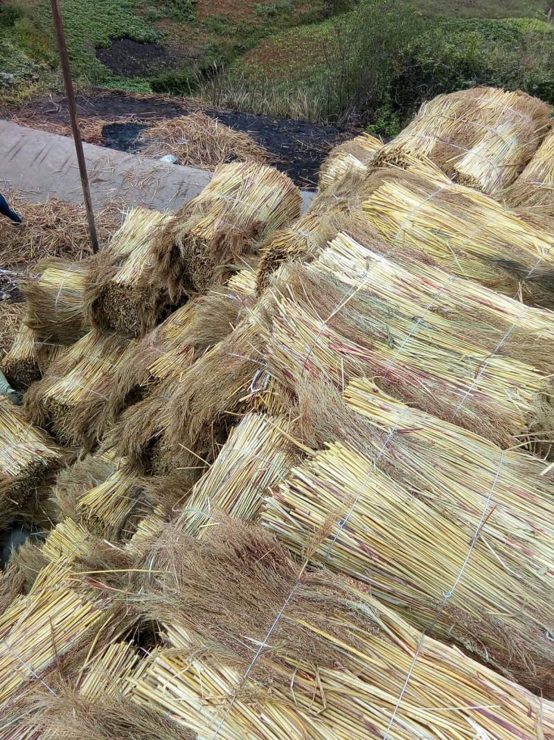 高粱扫帚原料加工销售