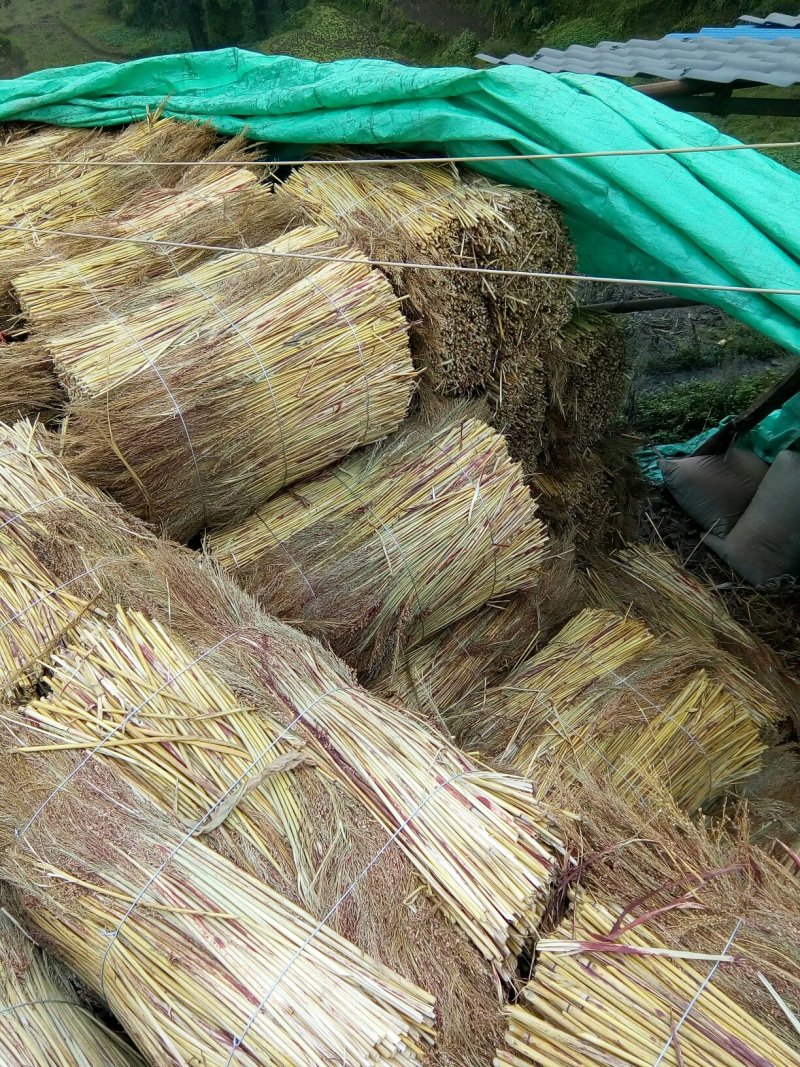 高粱扫帚原料加工销售