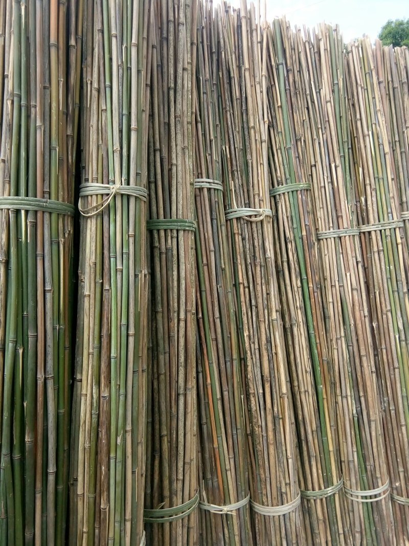 菜架竹子(欢迎来电），扶树竹竿，大棚竹竿，产地直销