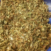 薄荷