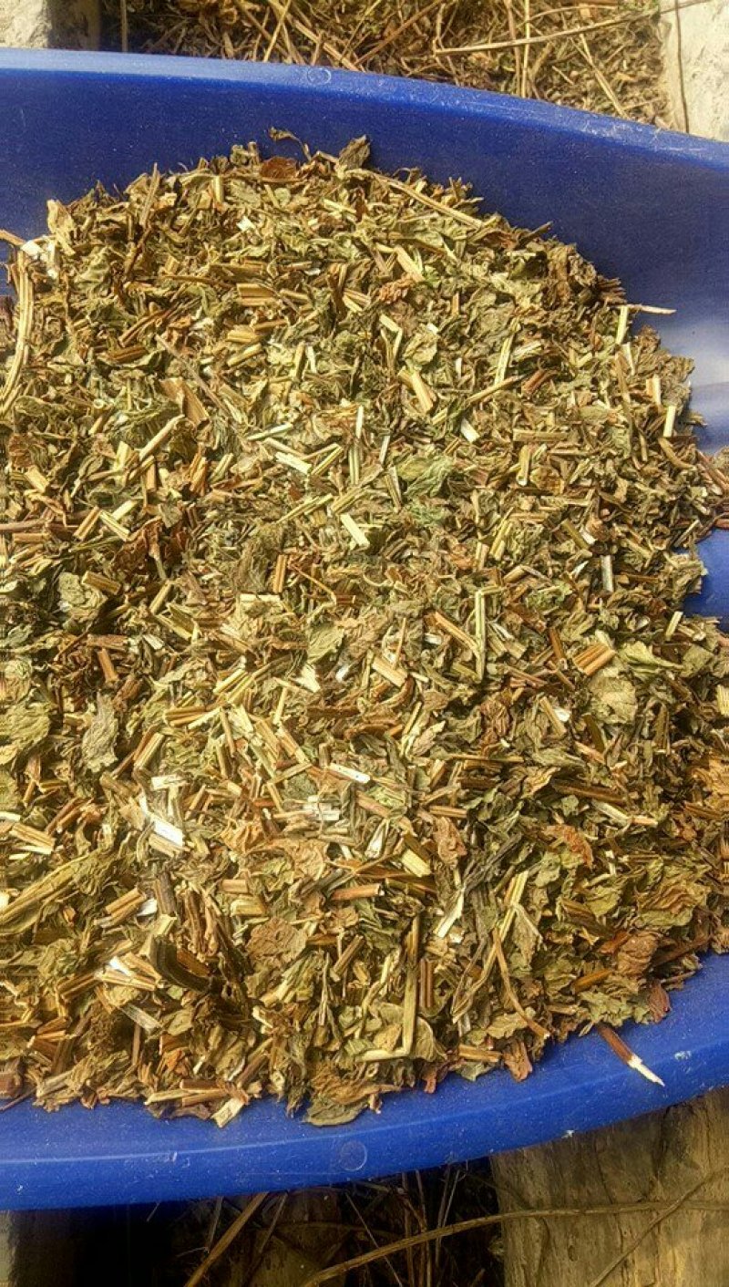 薄荷