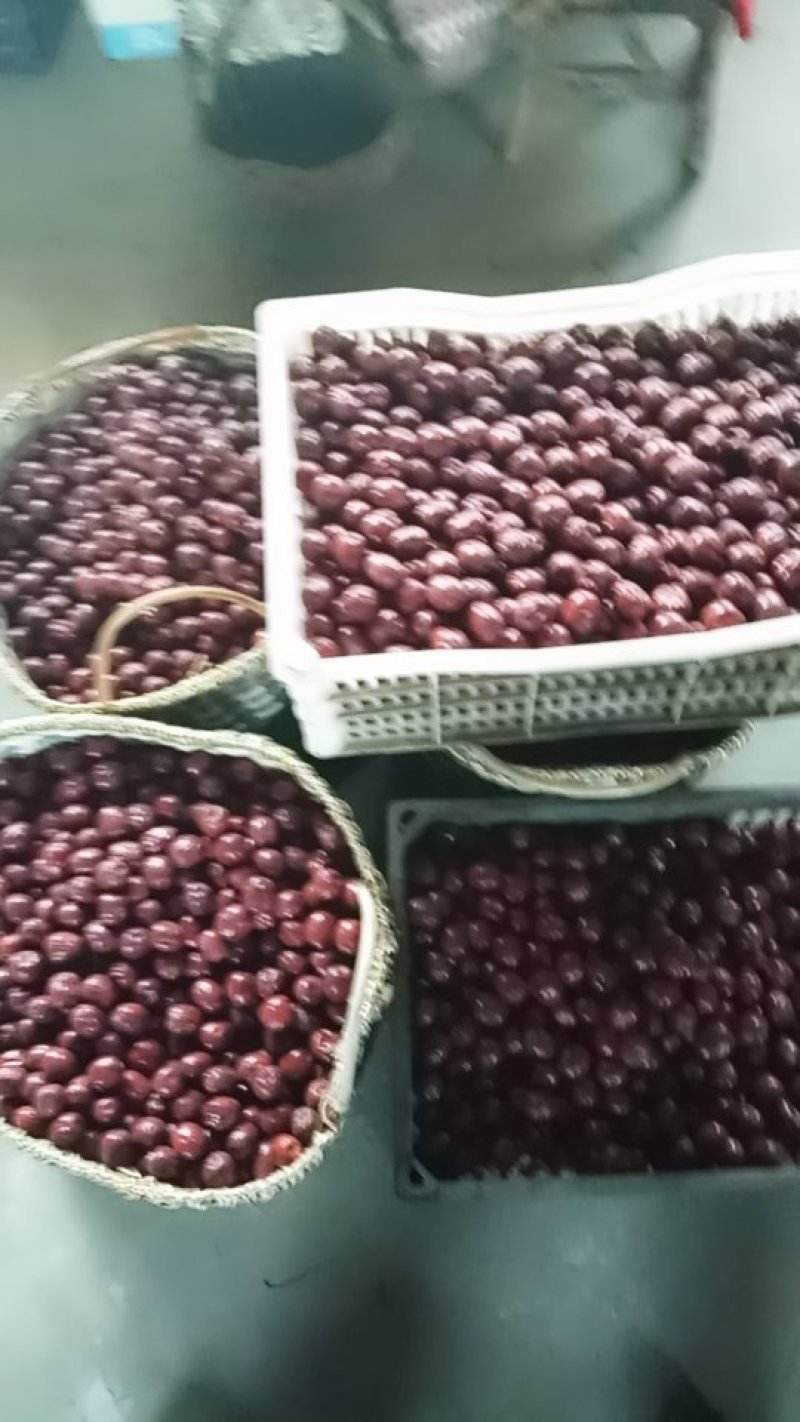 稷山板枣，含糖量高，肉多核小