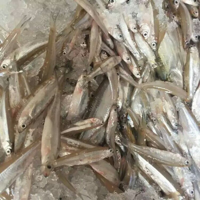 水产