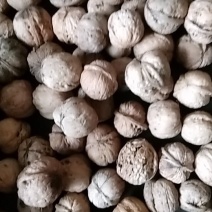 山西汾阳棉核桃