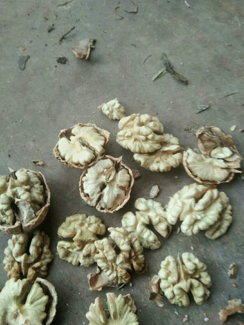 【热卖】精品漾濞大泡薄皮核桃，果仁香甜，保质诚信经营欢迎