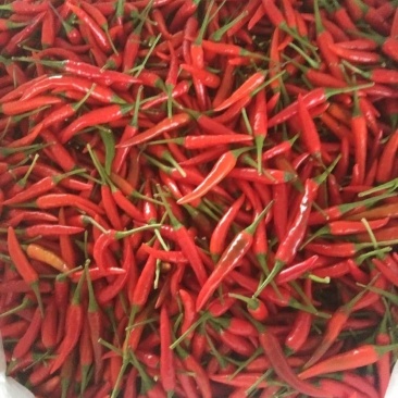 蔬菜