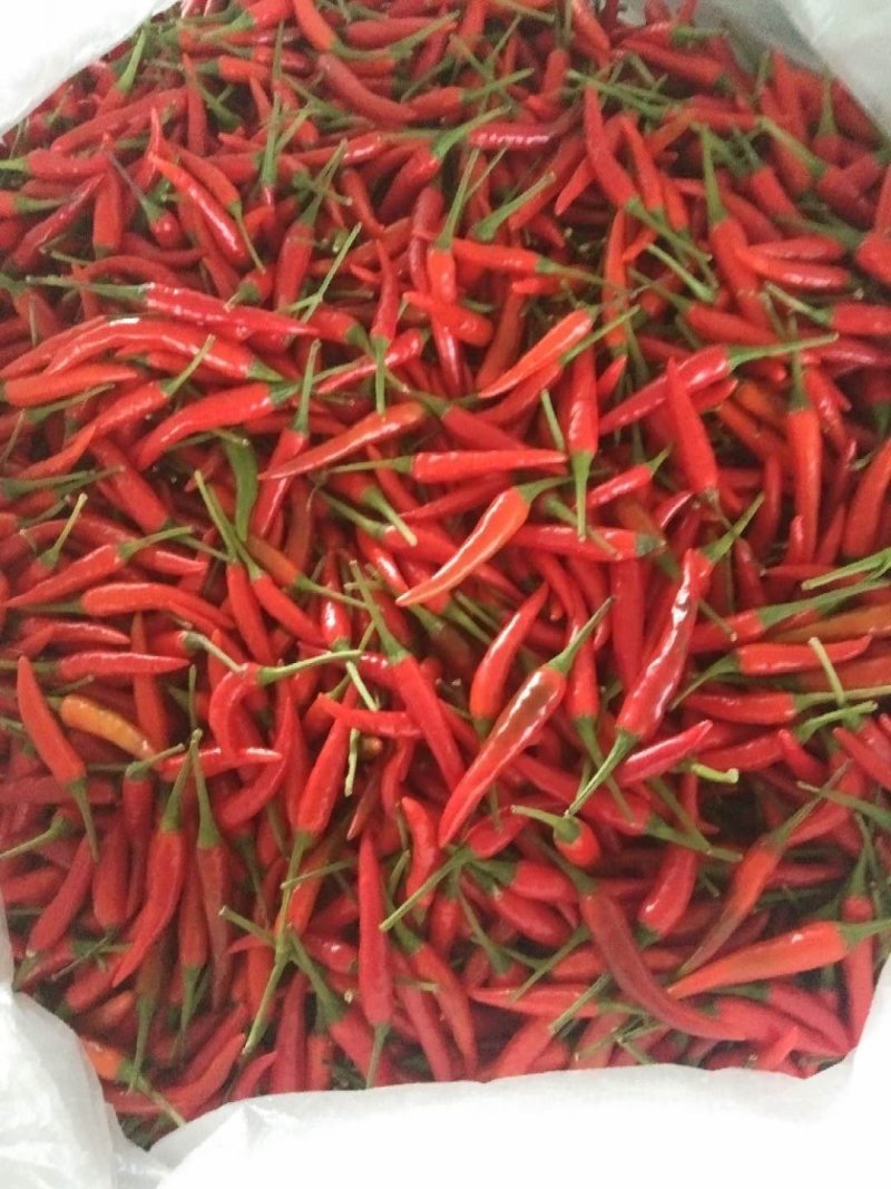 蔬菜
