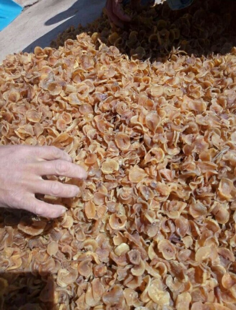 皇族精品土豆干片