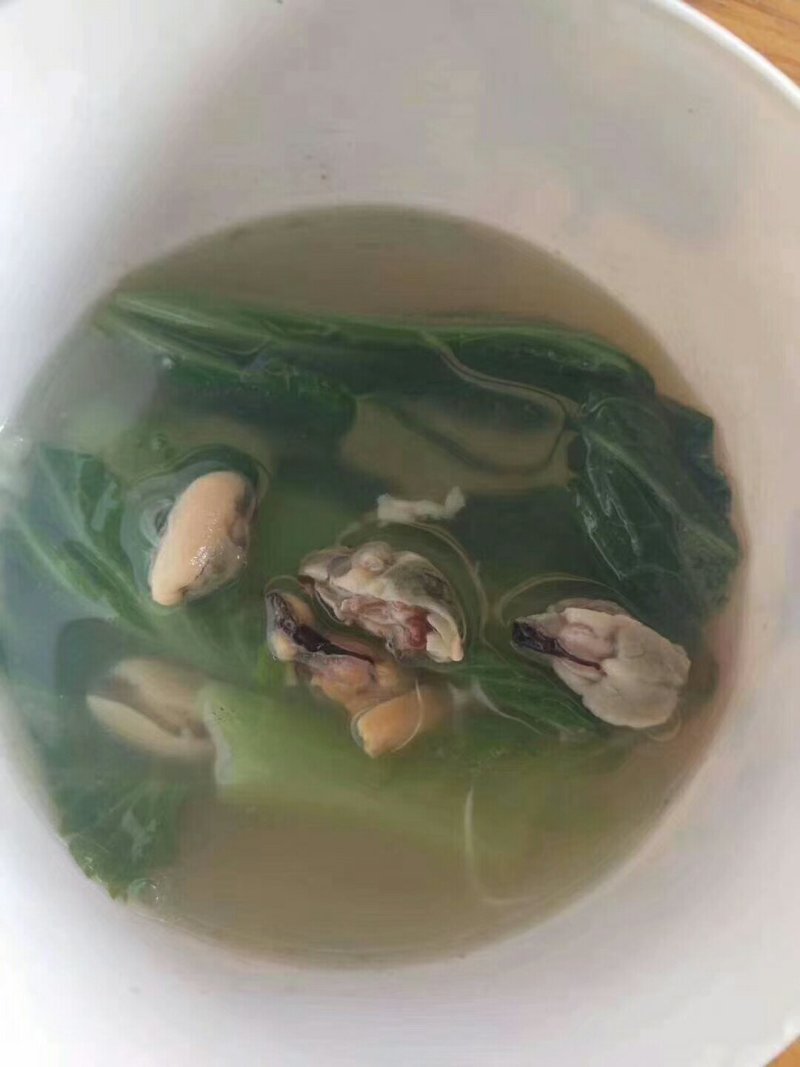 青口贝，中号