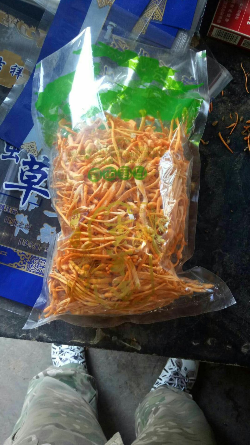 虫草花鲜草