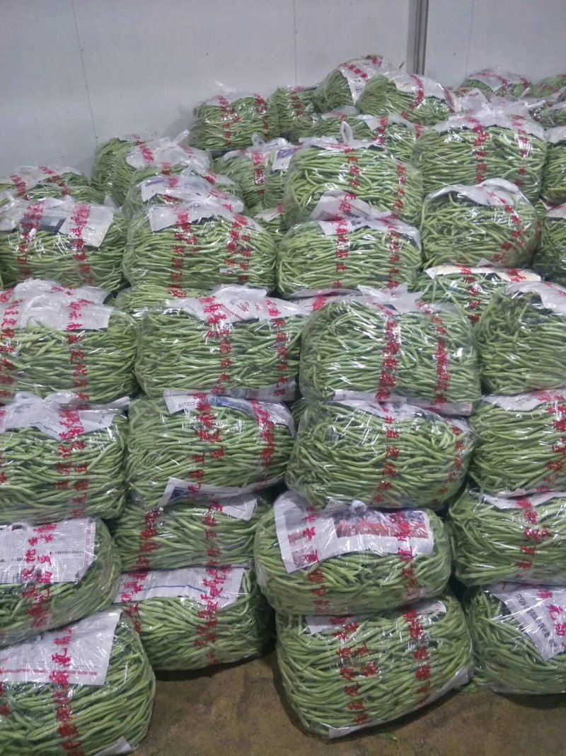 线椒、泡椒、无筋豆、扁豆、四季豆、白豆、小金豆苦瓜等蔬菜