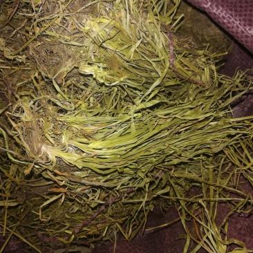 肺心草,梅花草、白侧耳