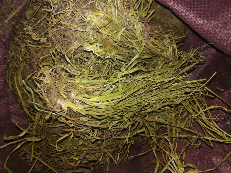 肺心草,梅花草、白侧耳
