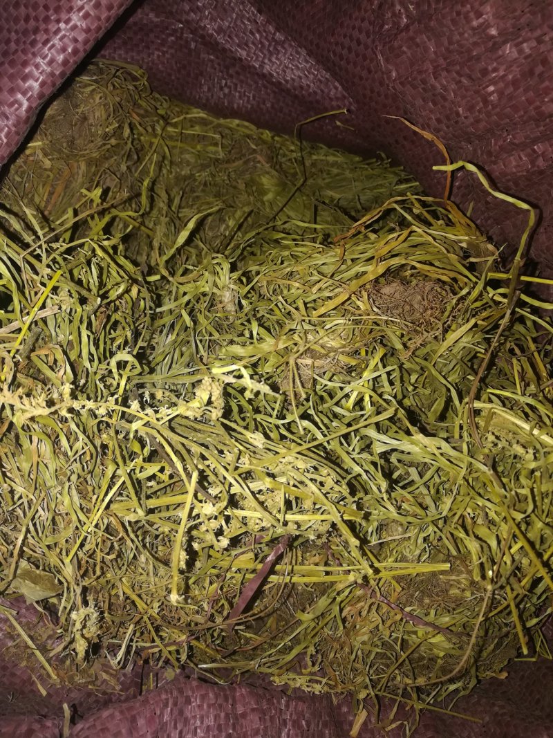 肺心草,梅花草、白侧耳