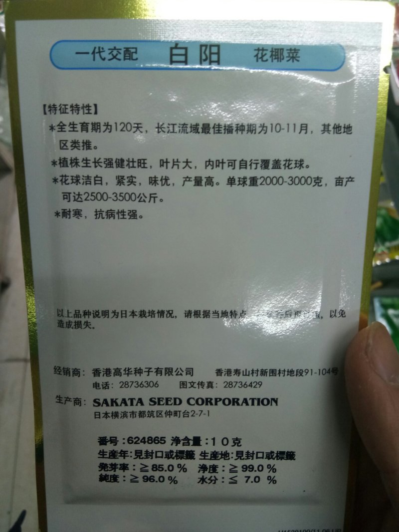 日本杂交进口春花菜种子耐寒花菜种子