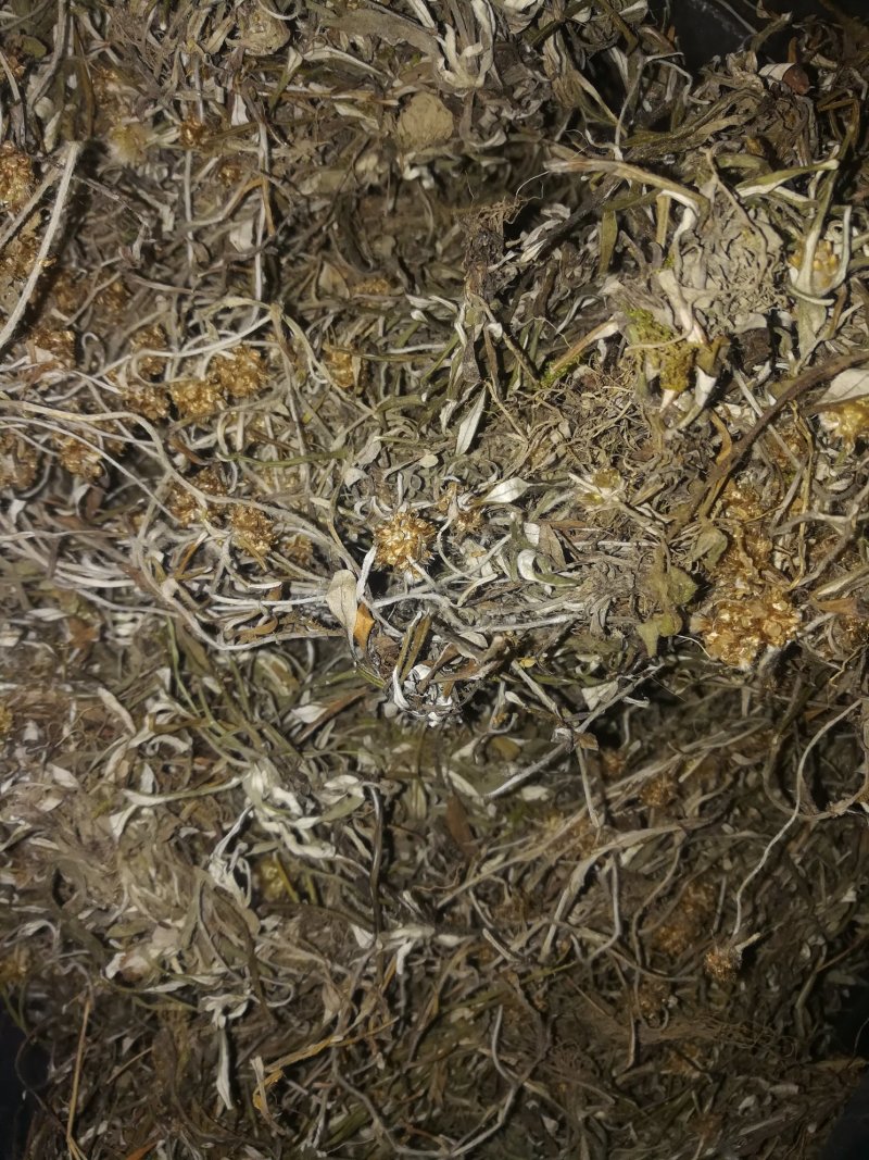 天青地白
