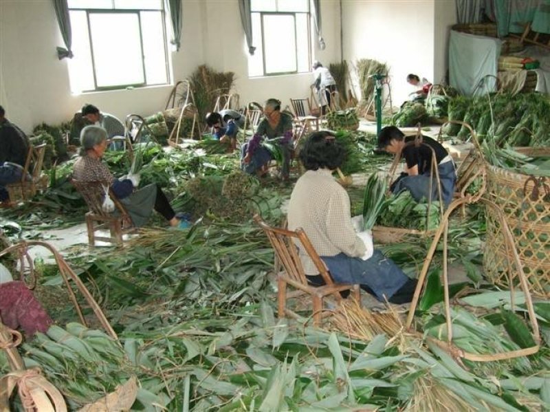 粽子叶粽叶新鲜大粽叶包粽子叶箬叶